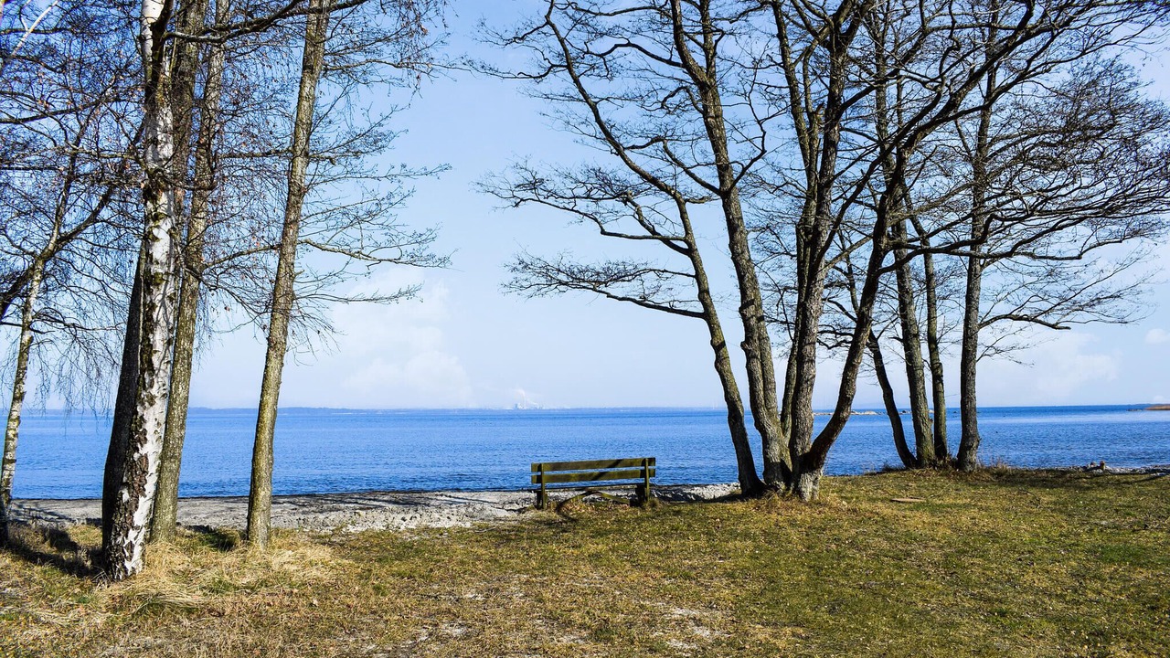 Photo of Others in Mollebjorke