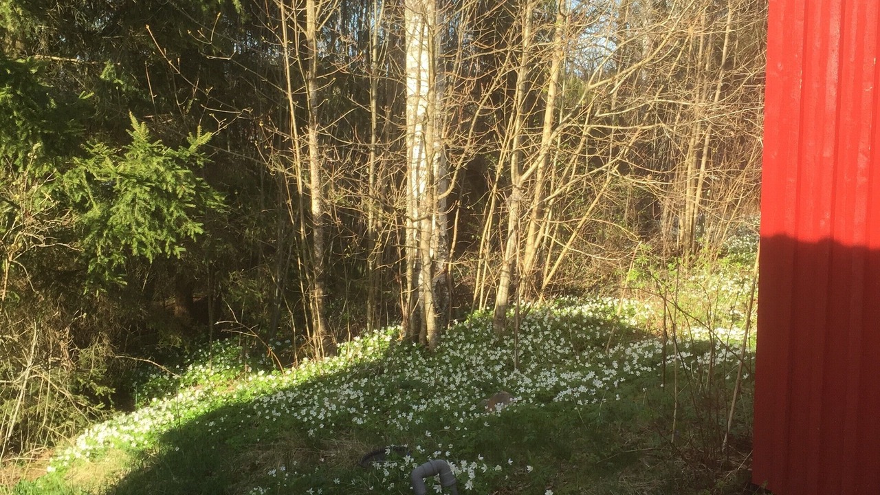 Photo of Outdoor in Arvika