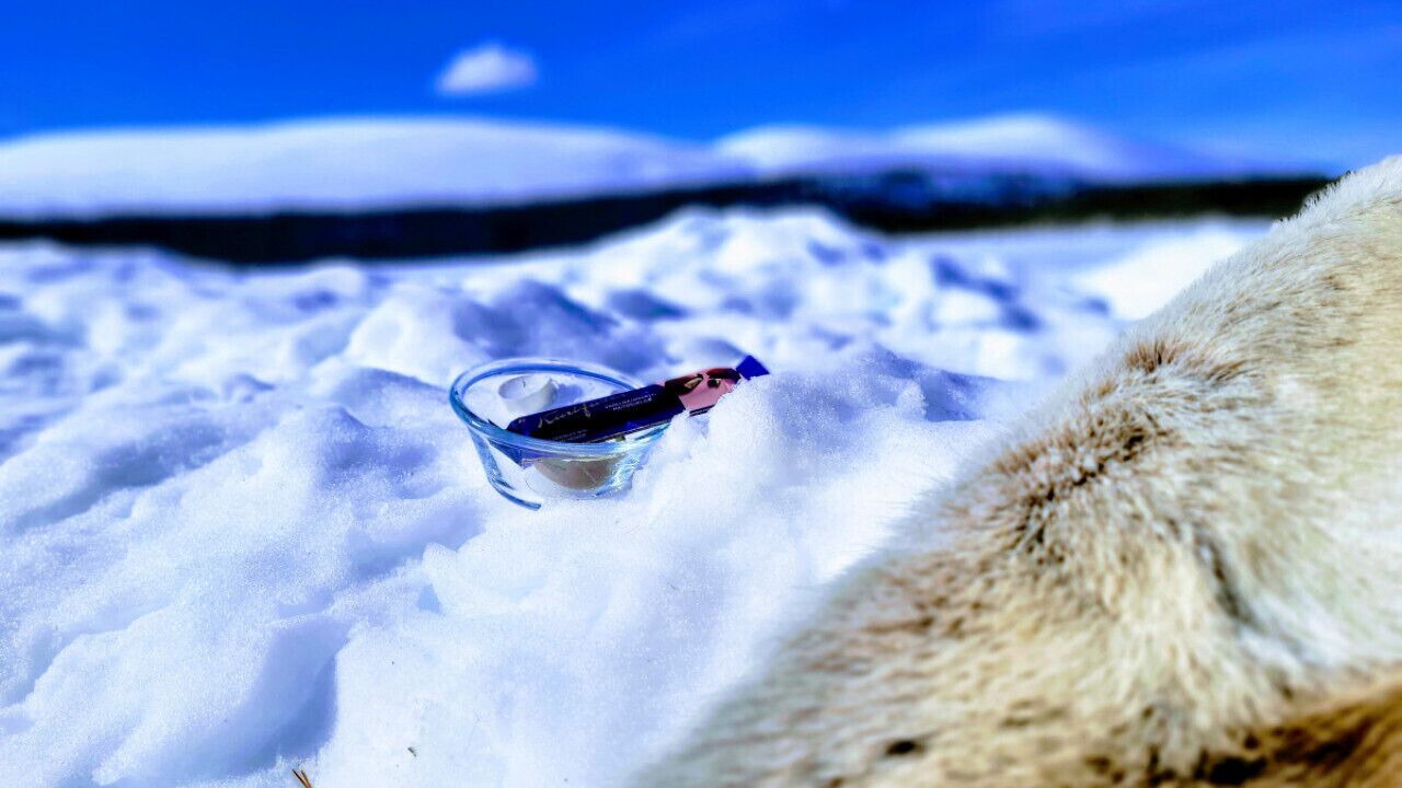 Photo of Others in Tunturi-Lappi