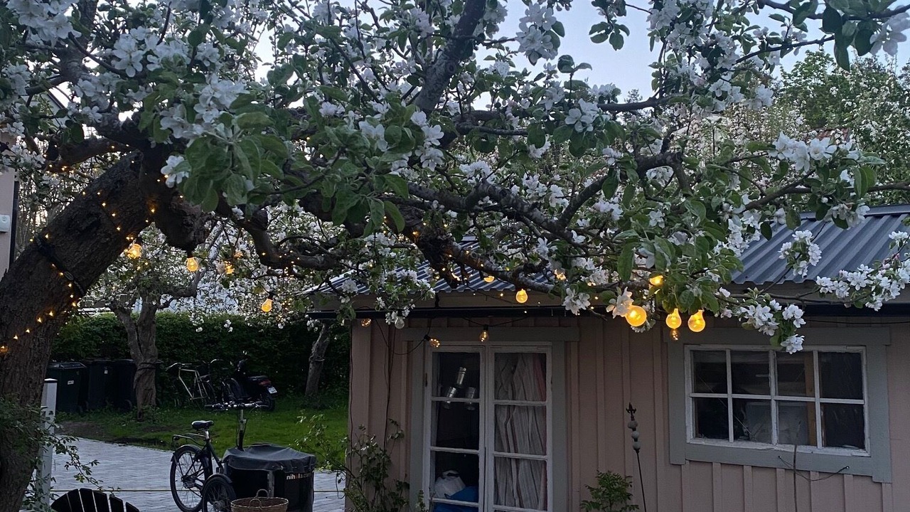 Photo of Outdoor in Enskede