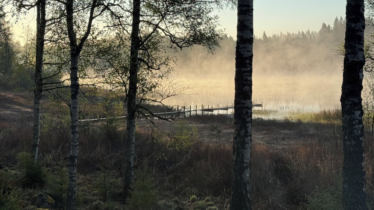 Photo of Others in Svenljunga