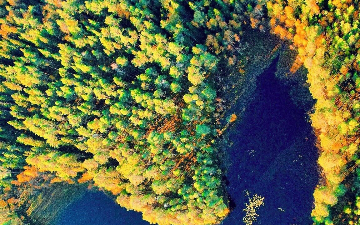 Photo of Outdoor in Overturingen