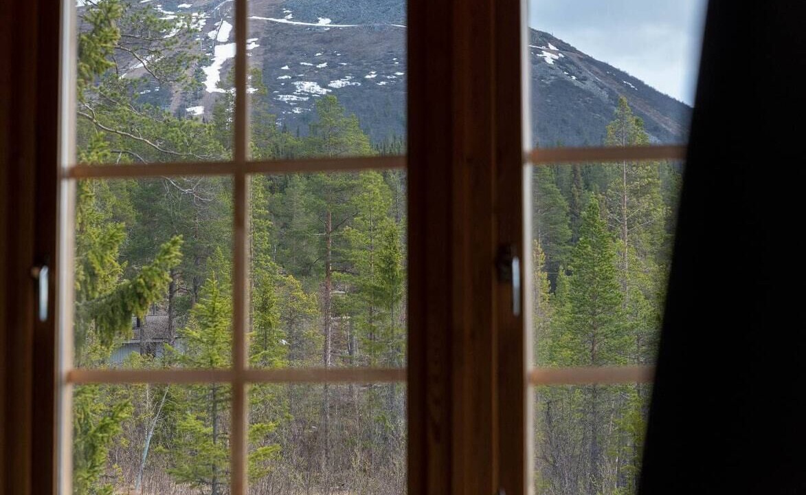 Photo of Others in Lofsdalen