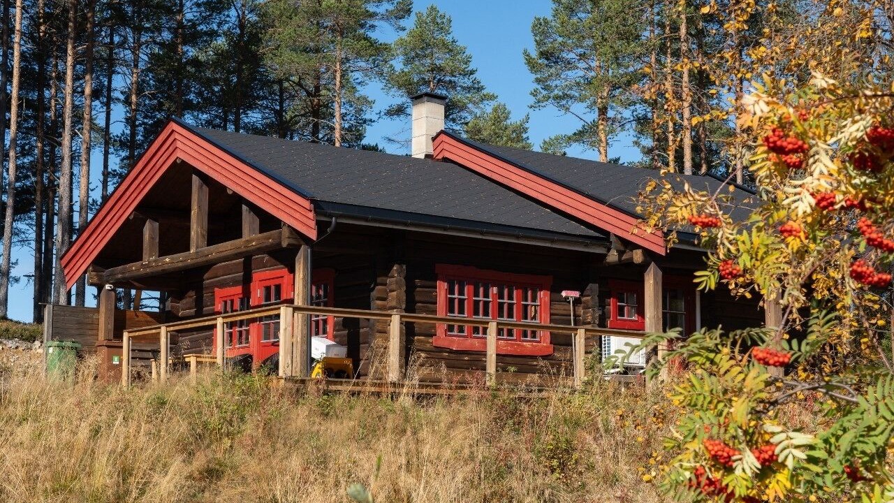 Photo of Outdoor in Lofsdalen