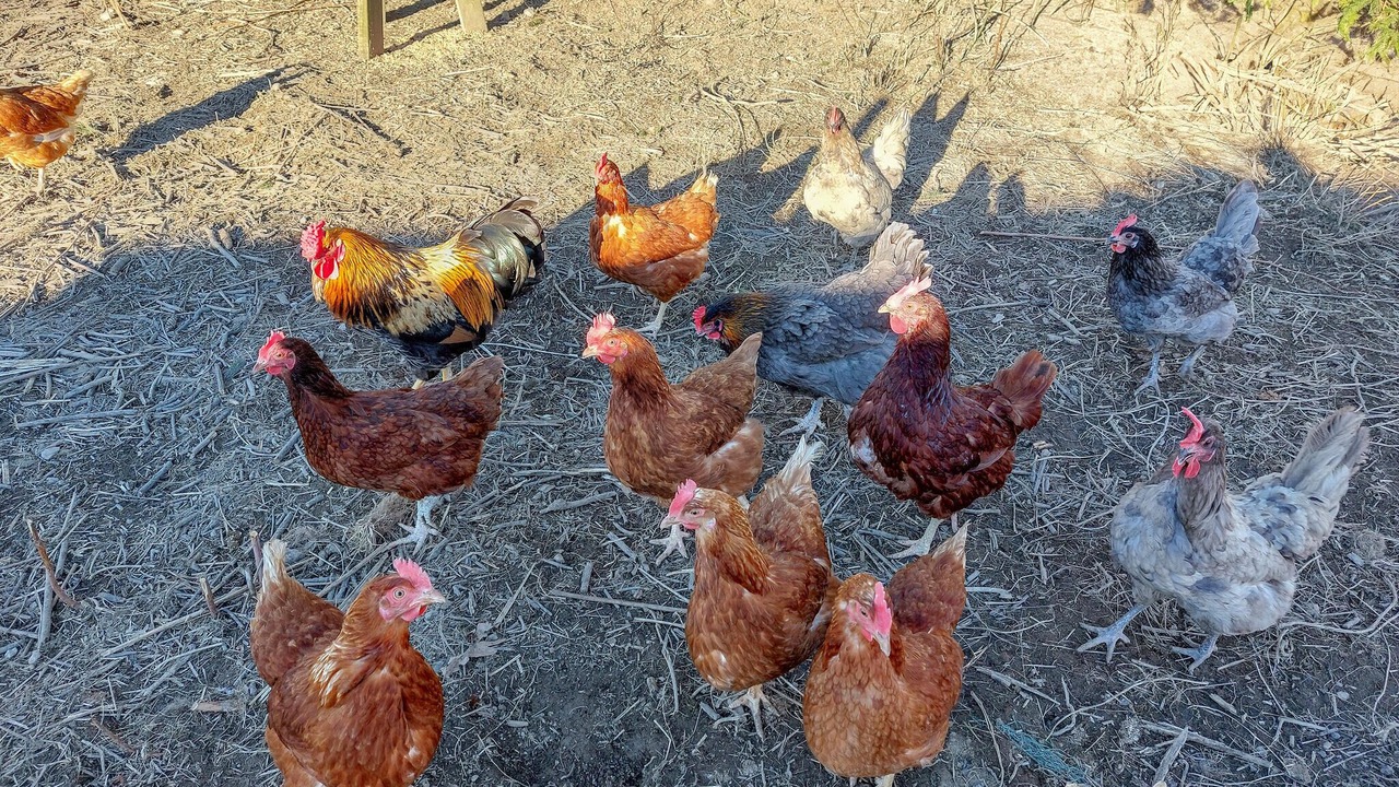 Photo of Others in Eslov
