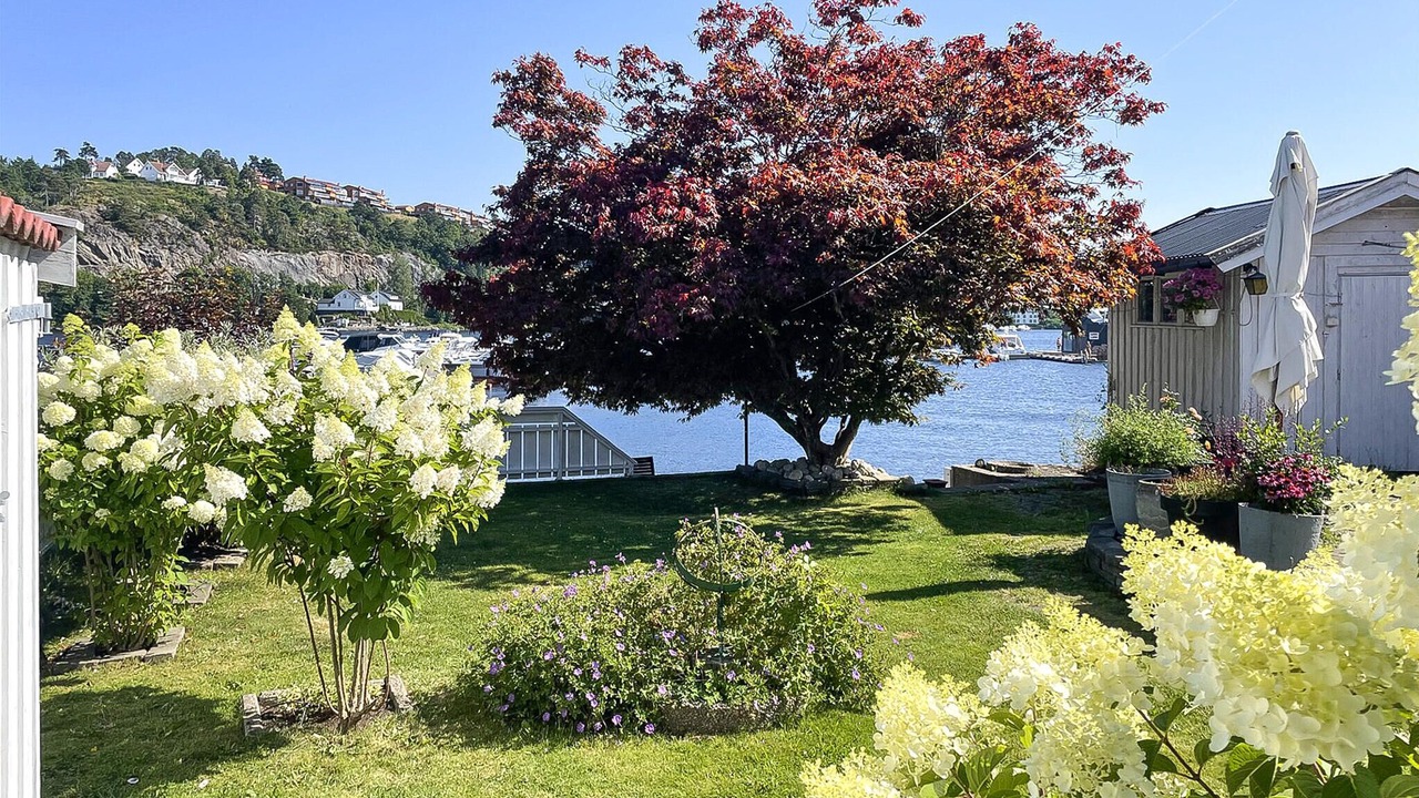 Photo of Others in Arendal