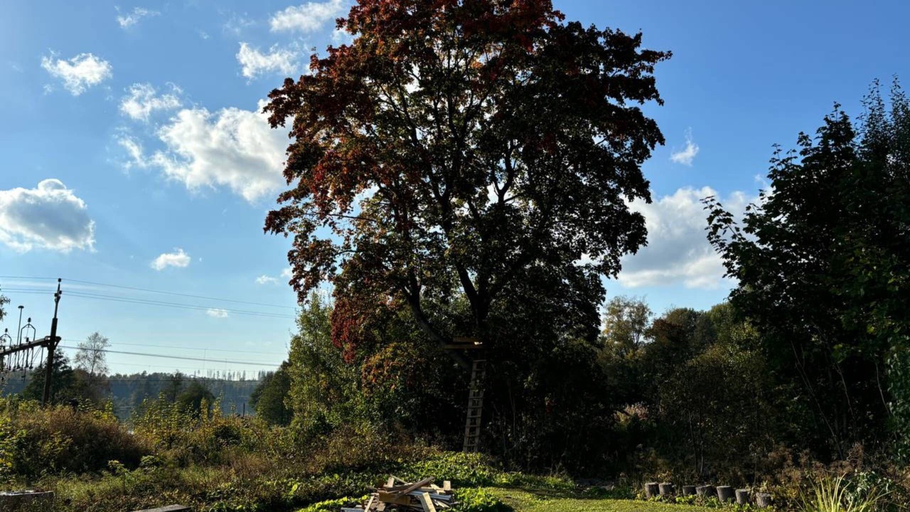 Photo of Others in Svarta