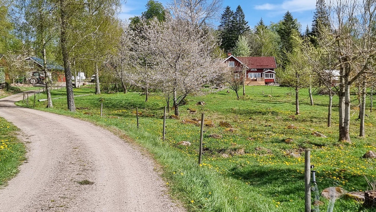 Photo of Others in Broddetorp