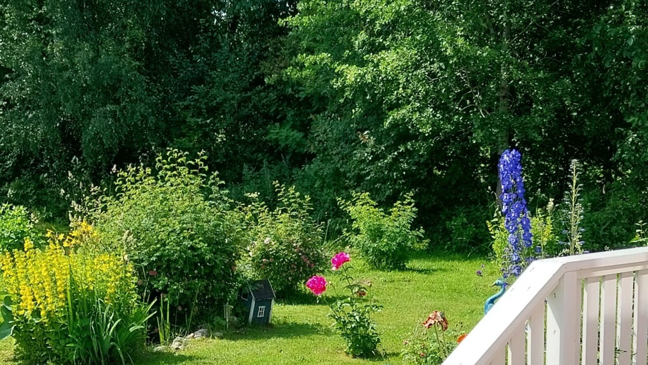 Photo of Outdoor in Ostersund