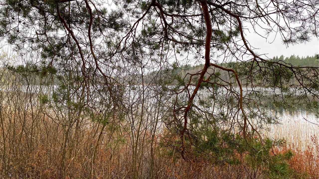 Photo of Others in Vimmerby