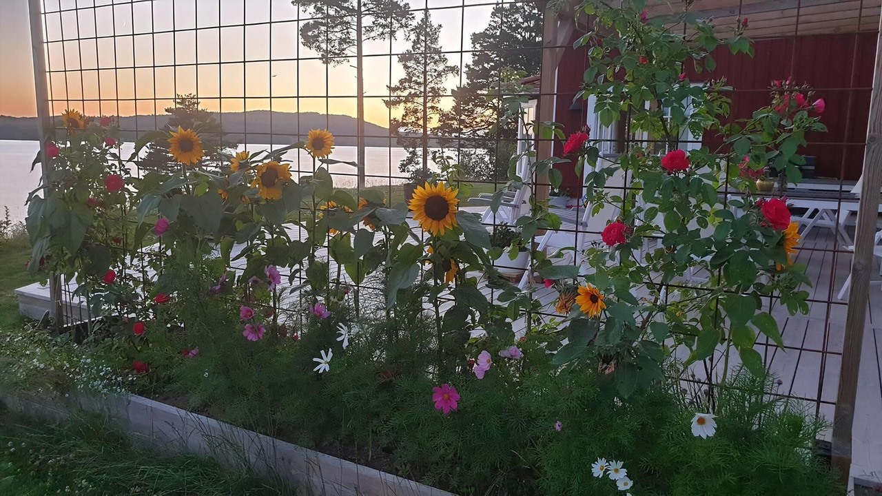 Photo of Others in Leksand