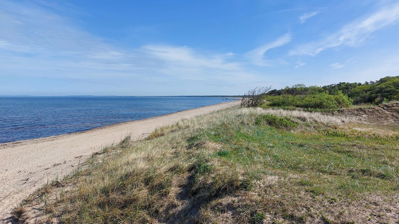 Photo of Others in Skummesloevsstrand