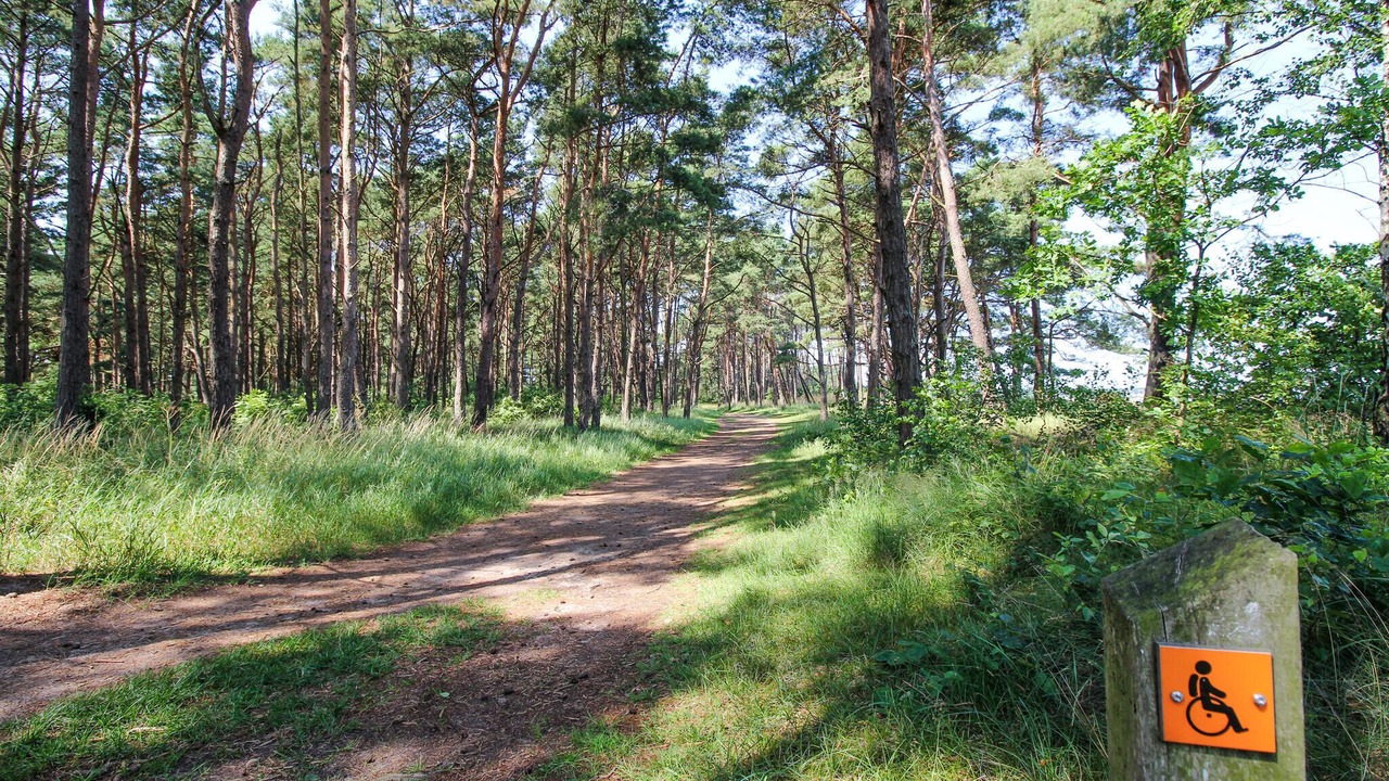 Photo of Others in Angelholm
