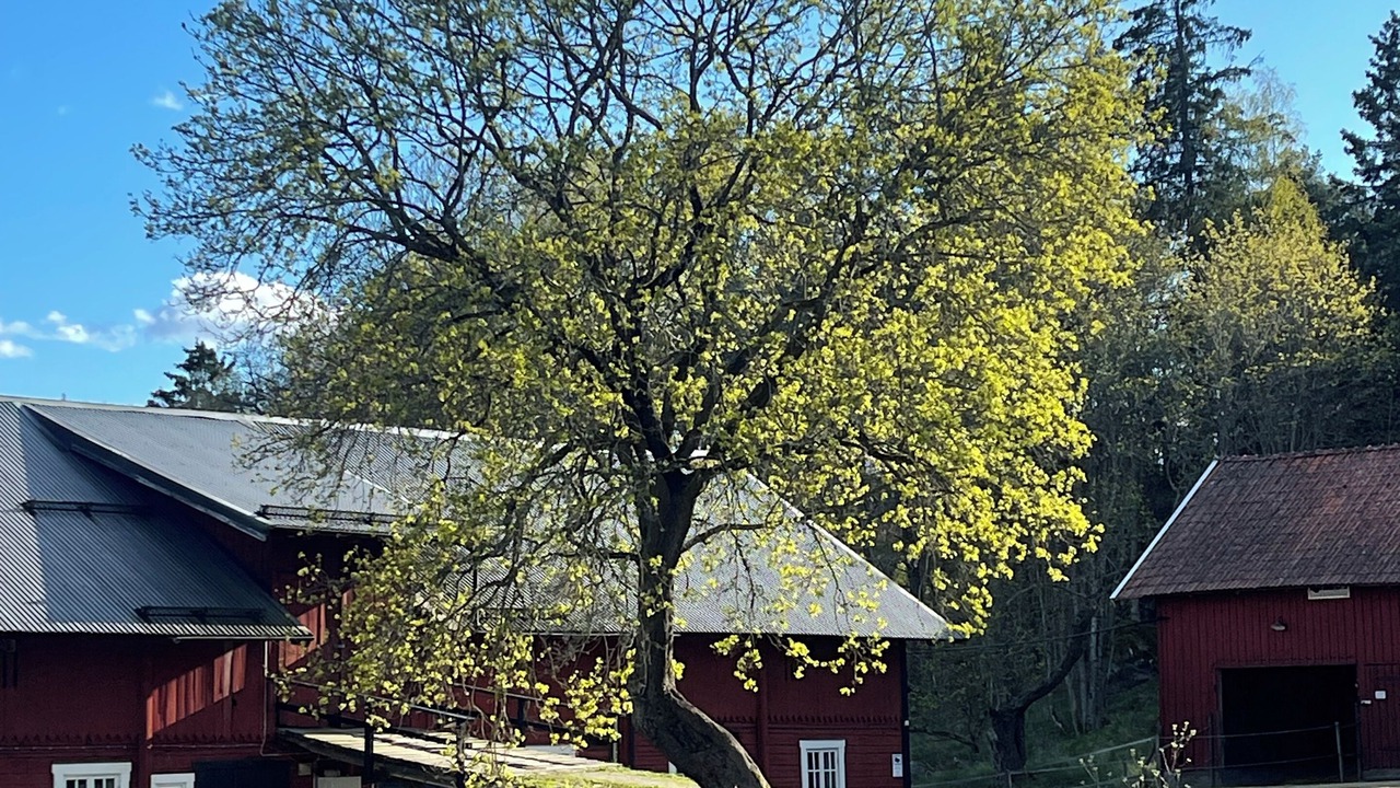 Photo of Outdoor in Holo
