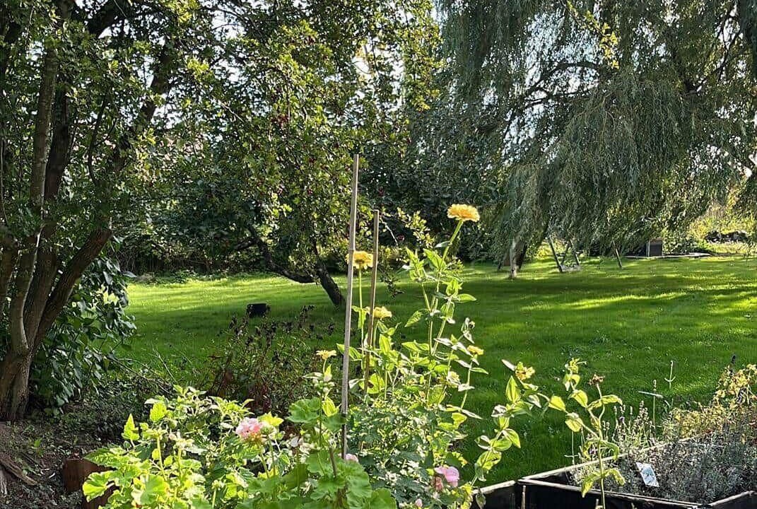 Photo of Outdoor in Simrishamn