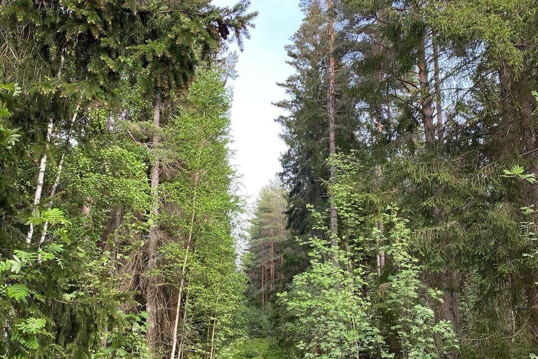Photo of Others in Motala