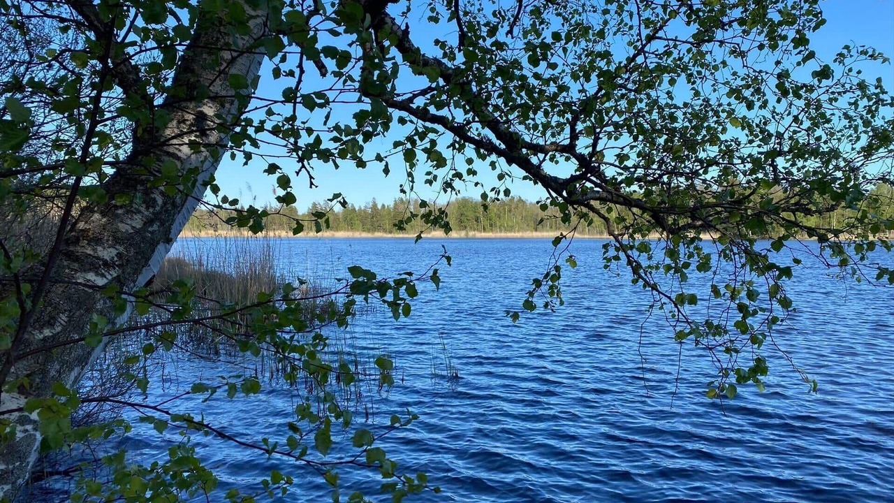 Photo of Others in Valdemarsvik Municipality