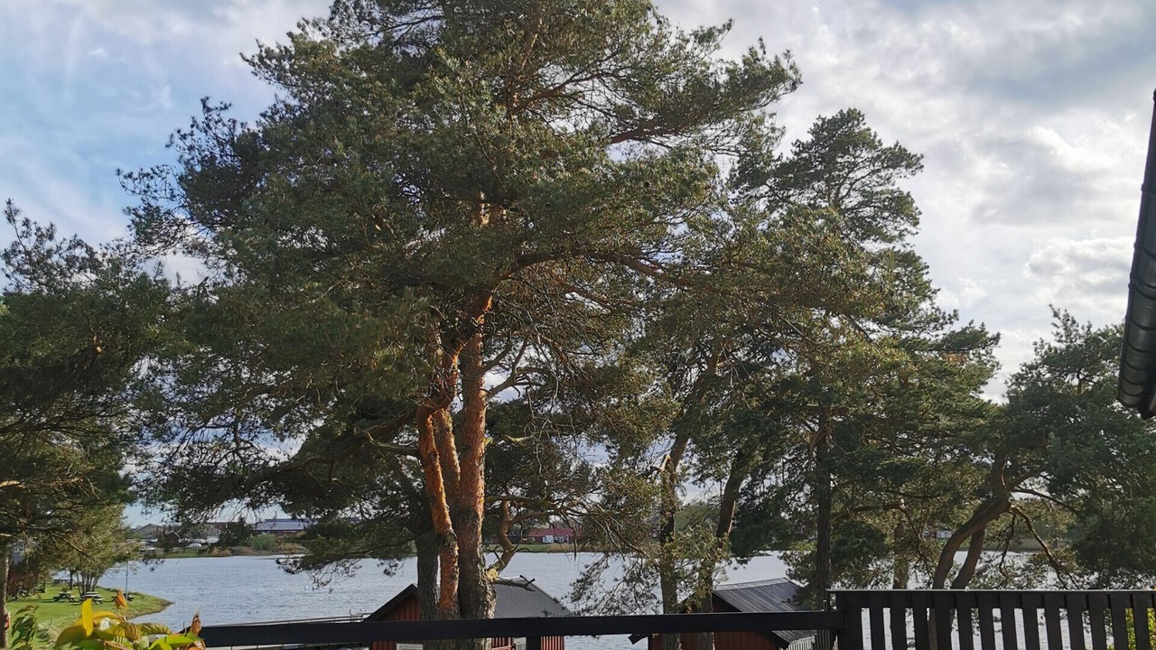 Photo of Others in Bergkvara