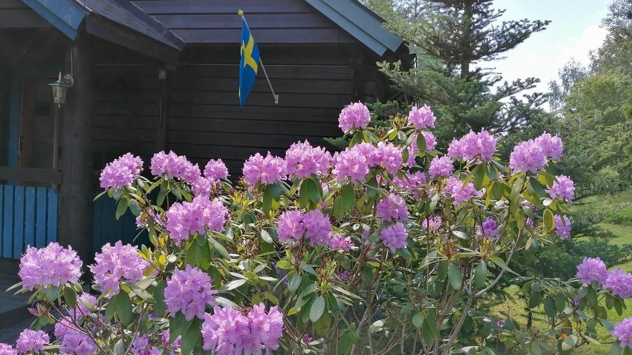 Photo of Outdoor in Norrtalje