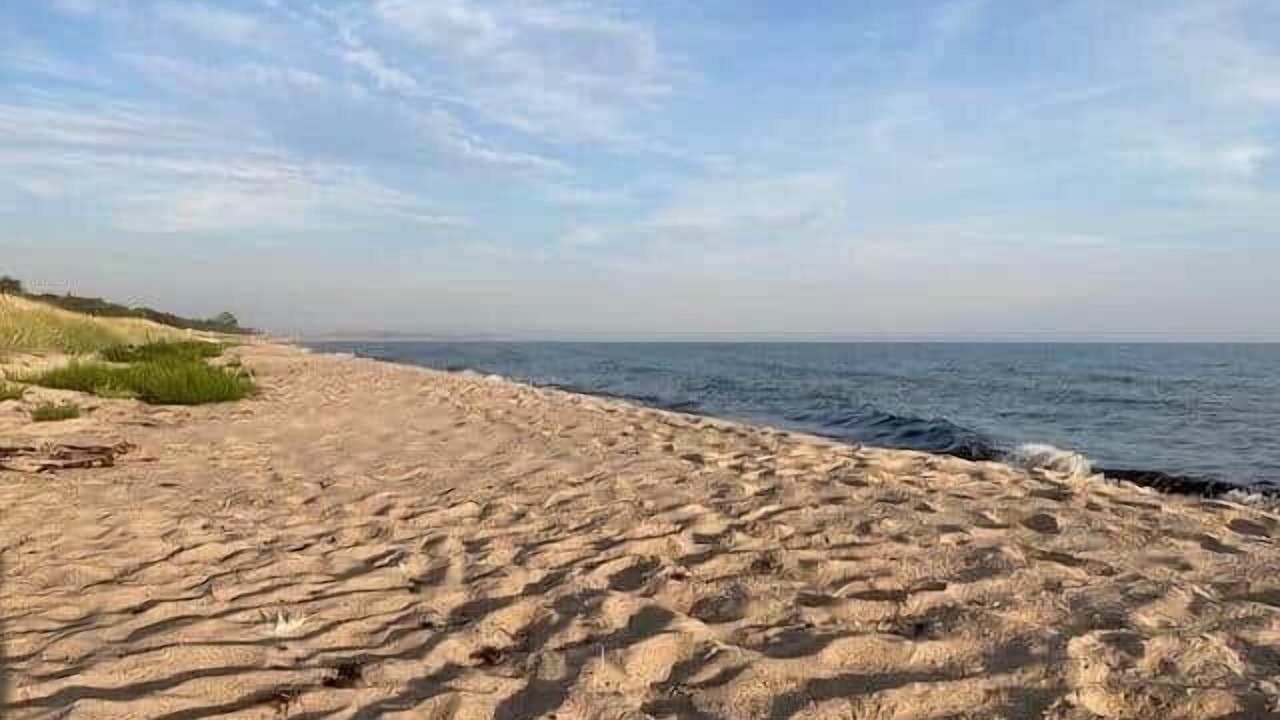 Photo of Others in Nybrostrand