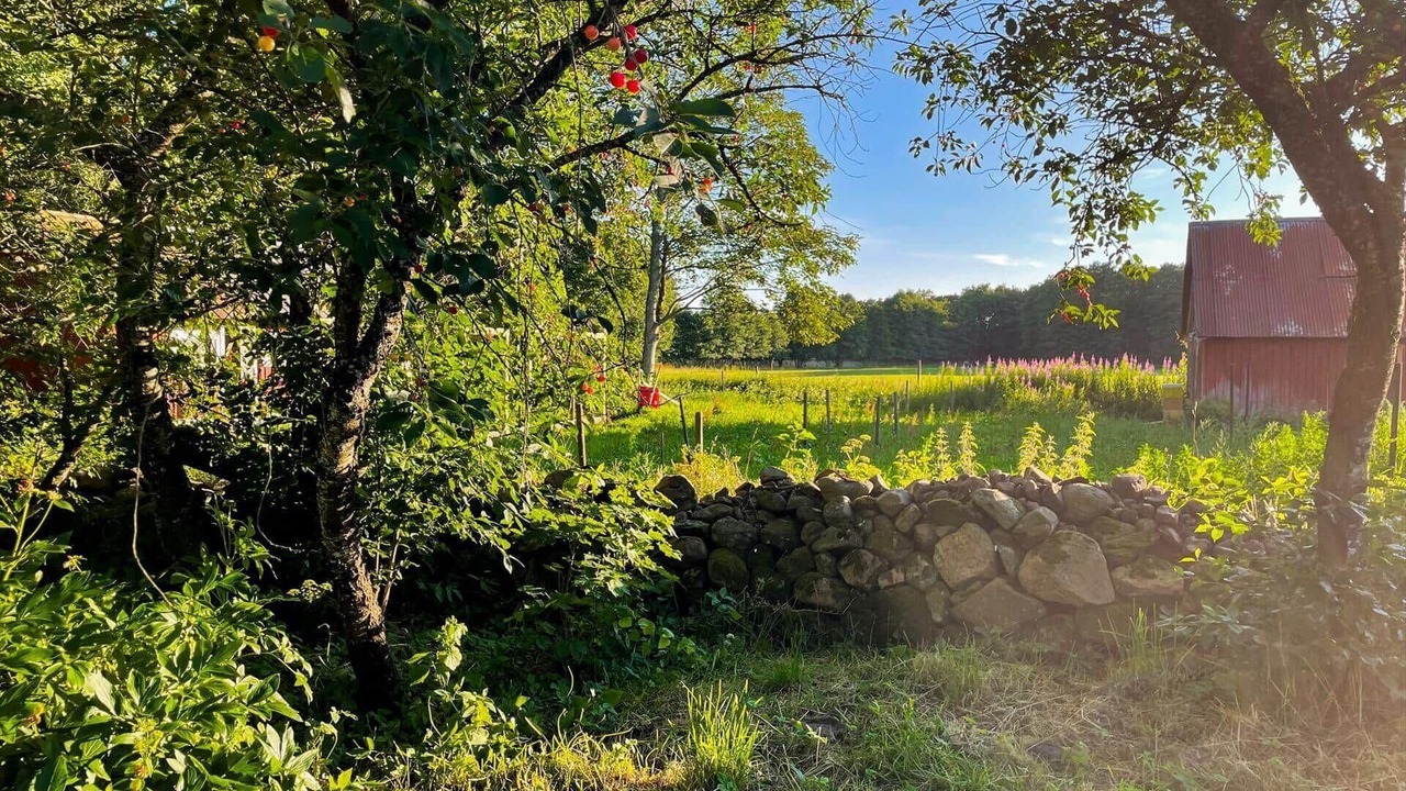 Photo of Outdoor in Bastad