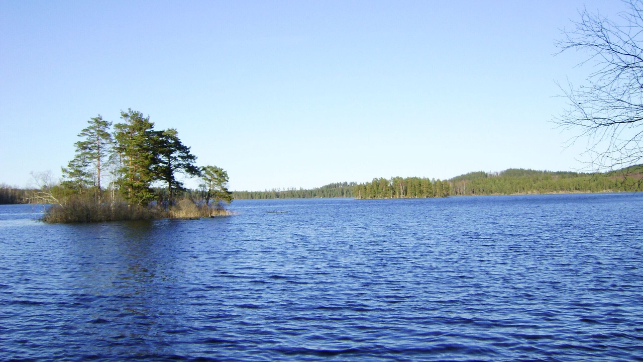 Photo of Others in Jarnforsen