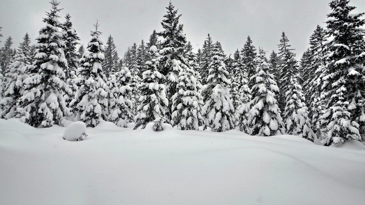 Photo of Others in Kalix Municipality