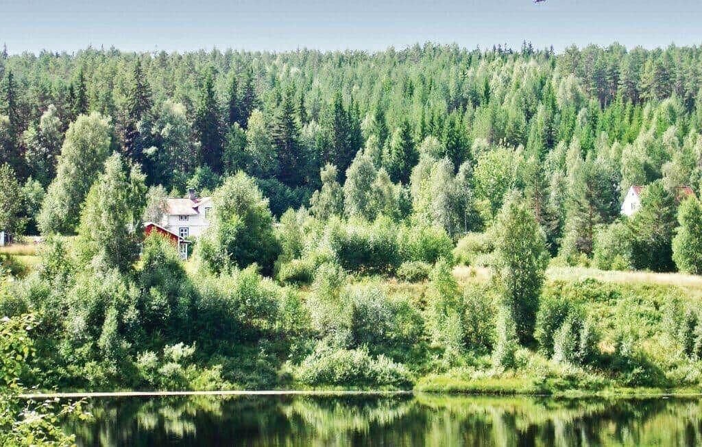 Photo of Others in Holjes