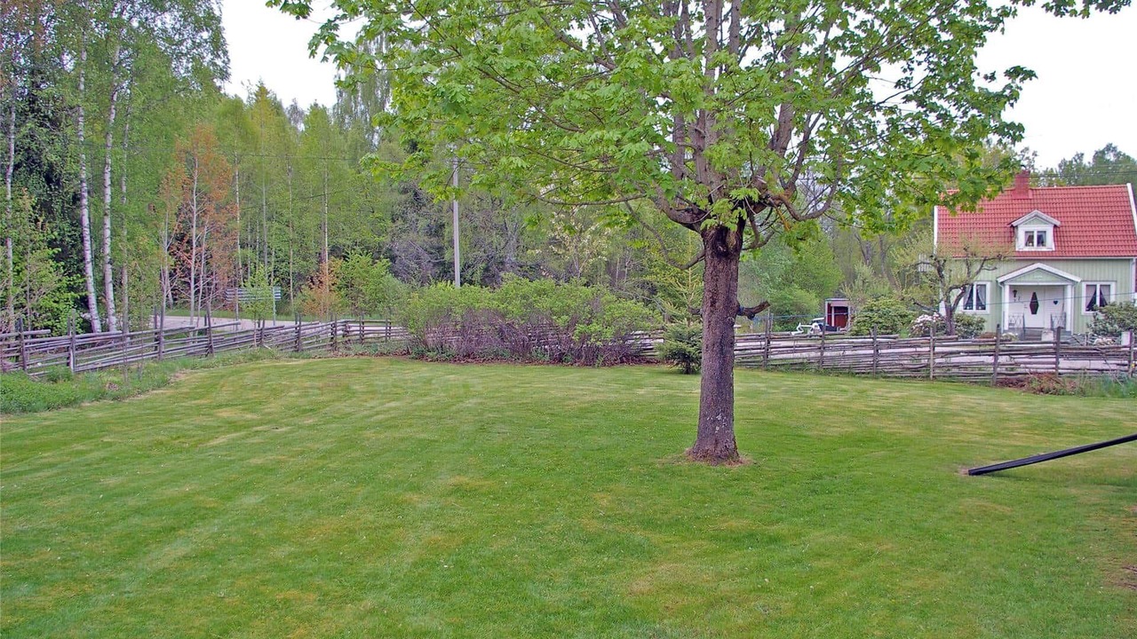 Photo of Outdoor in Paulistrom