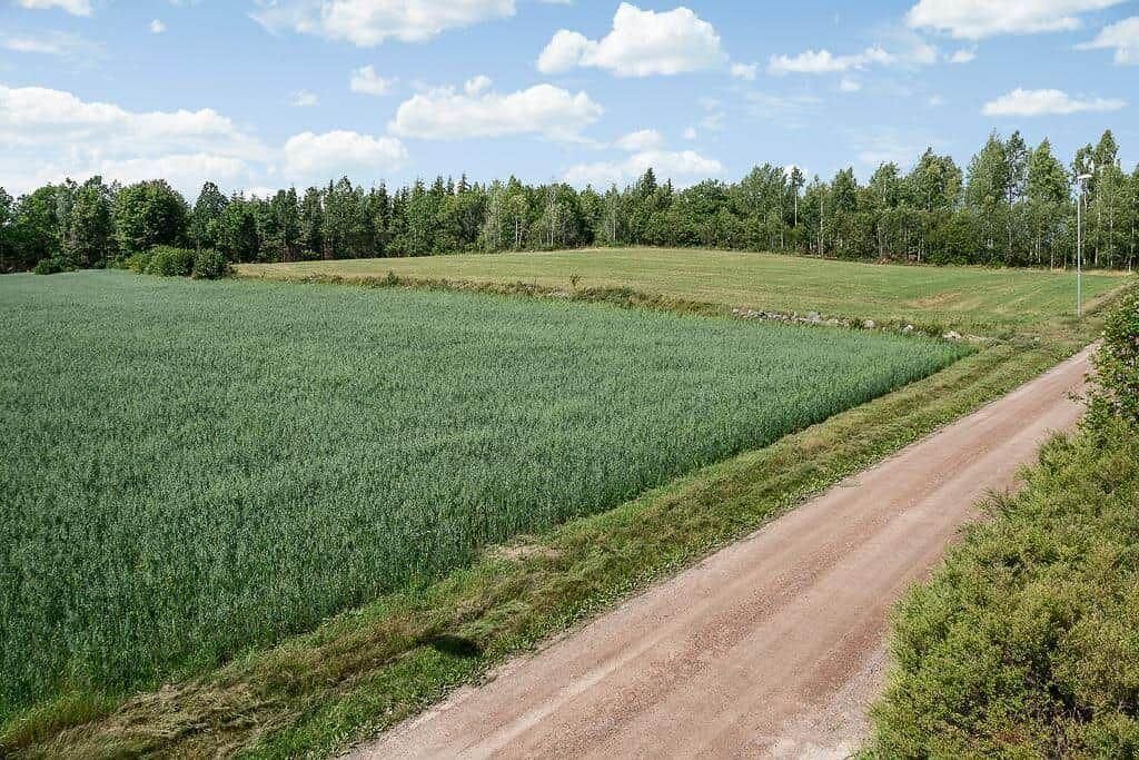 Photo of Others in Paulistrom