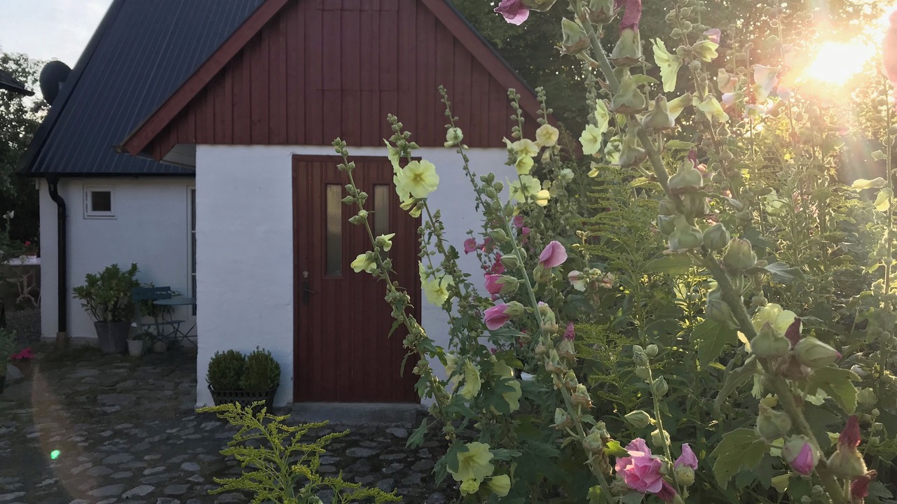 Photo of Outdoor in Tommarp