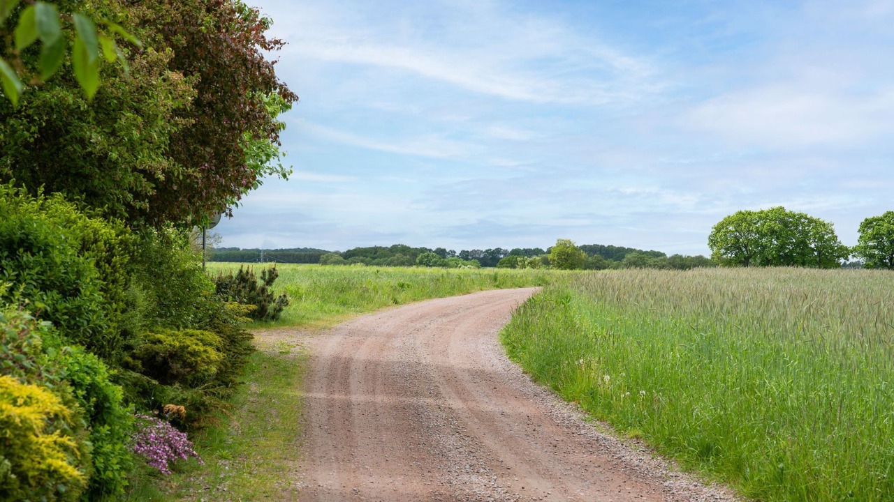 Photo of Others in Angelholm