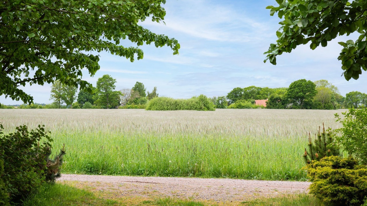 Photo of Others in Angelholm