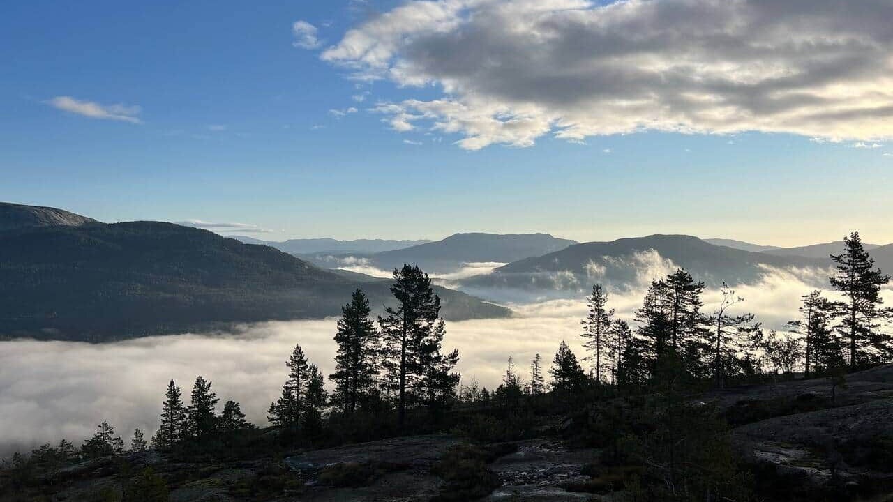 Photo of Others in Kviteseid