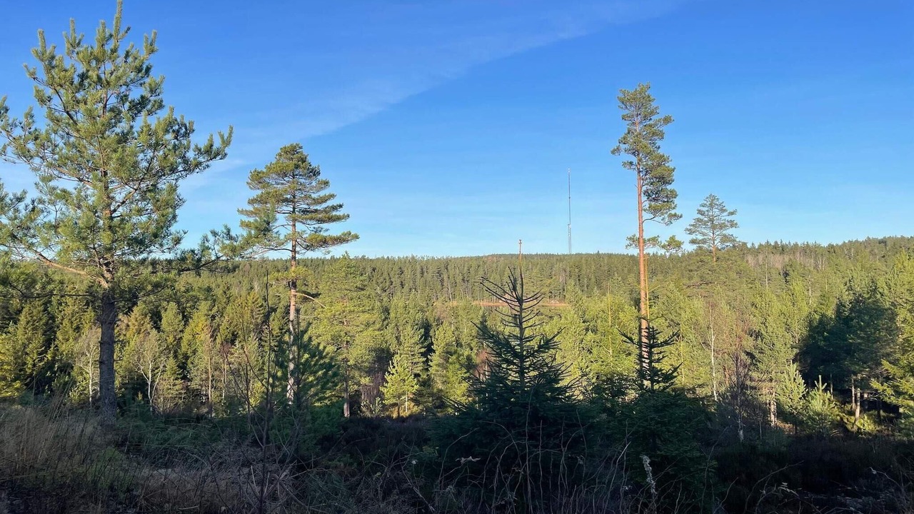 Photo of Outdoor in Backefors