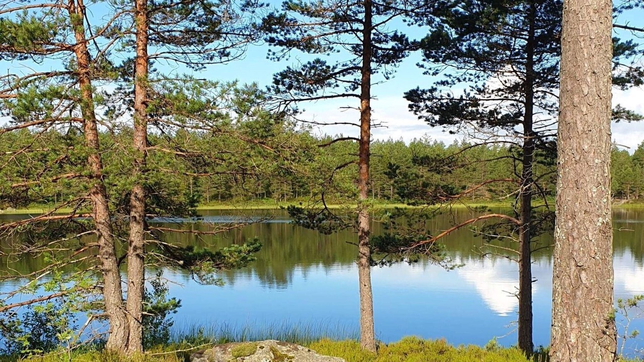 Photo of Others in Backefors