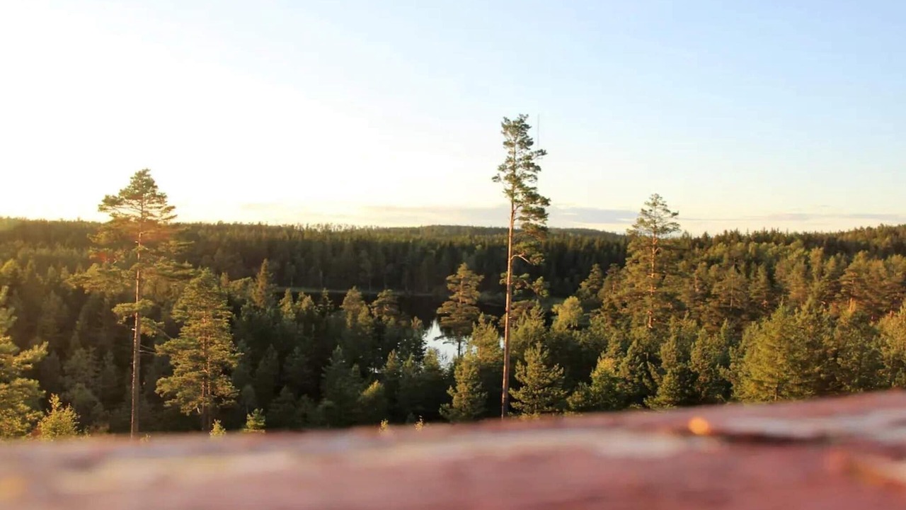 Photo of Others in Backefors