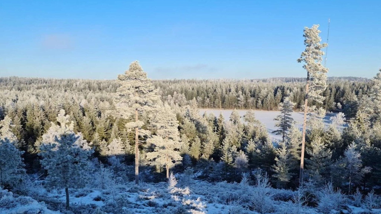 Photo of Others in Backefors