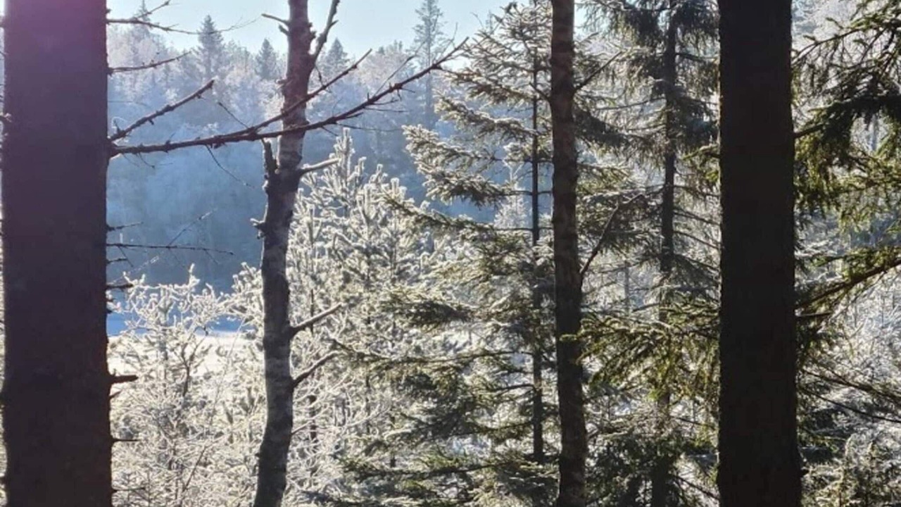 Photo of Others in Backefors