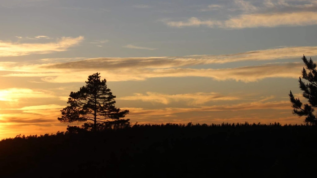 Photo of Others in Backefors