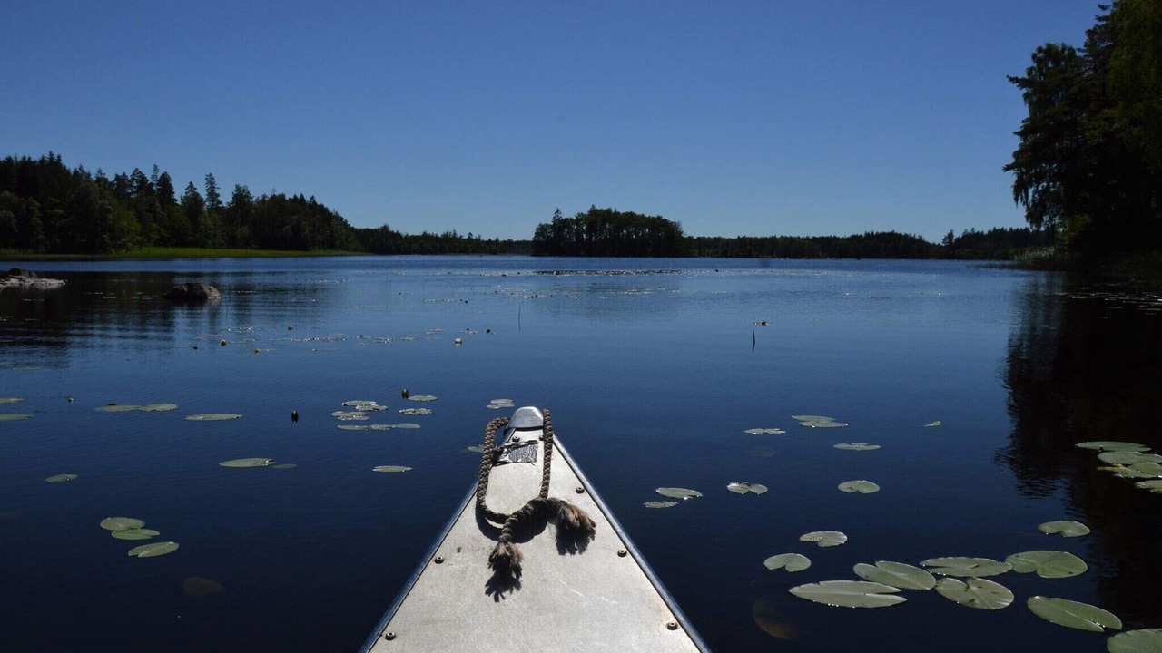 Photo of Outdoor in Vansbro Municipality