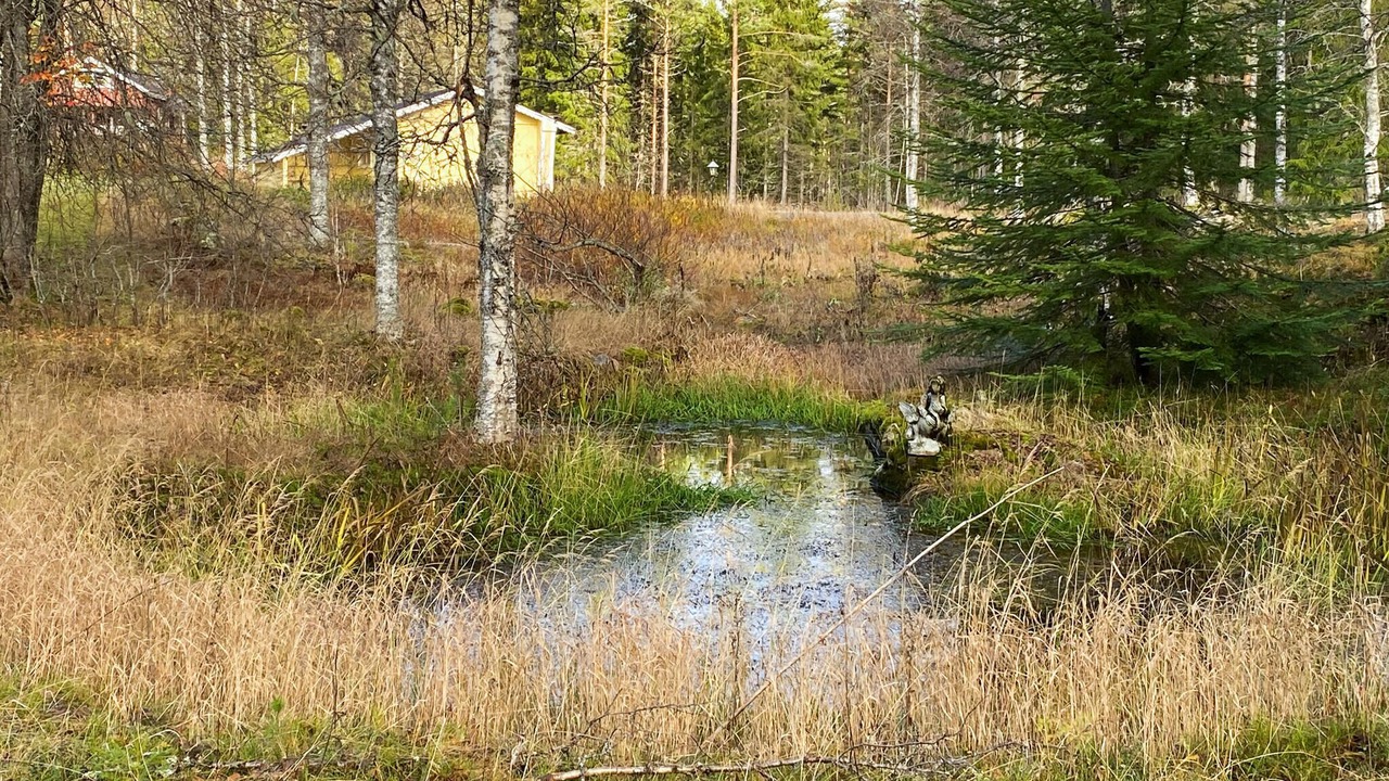 Photo of Others in Torsby Municipality