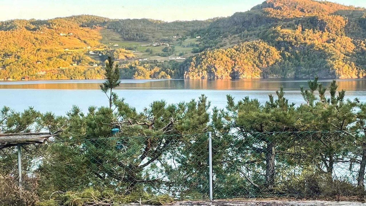 Photo of Others in Hjelmeland