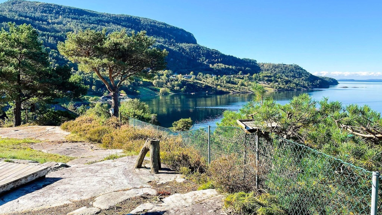 Photo of Others in Hjelmeland