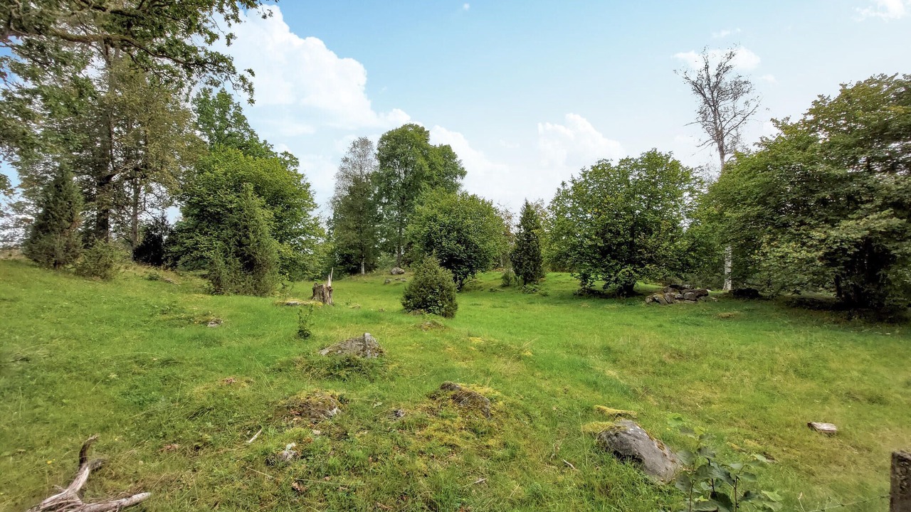 Photo of Others in Anderstorp