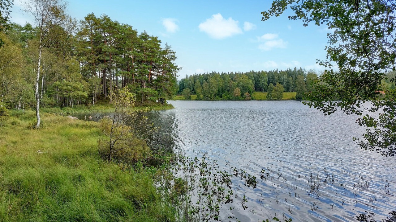 Photo of Others in Anderstorp