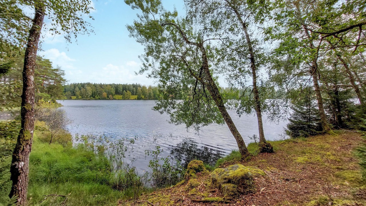 Photo of Others in Anderstorp