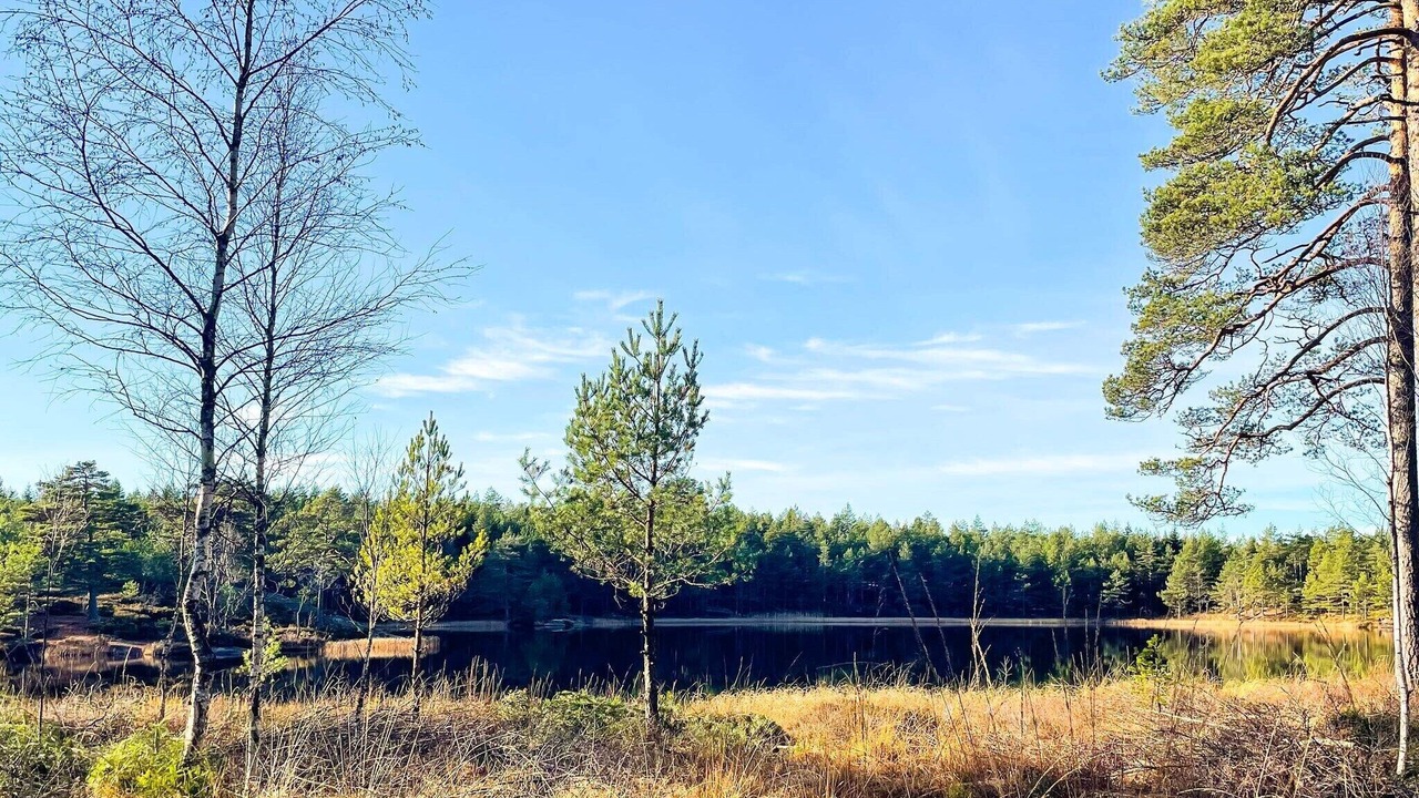 Photo of Others in Backefors