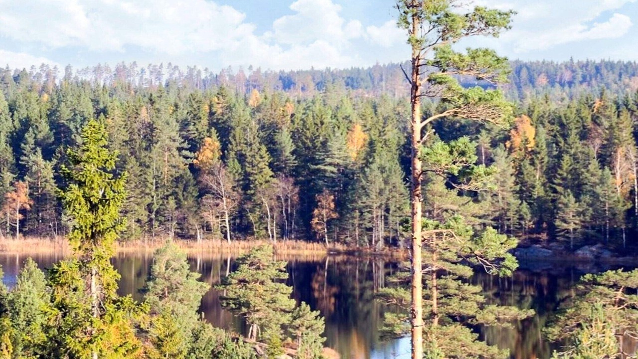 Photo of Others in Backefors