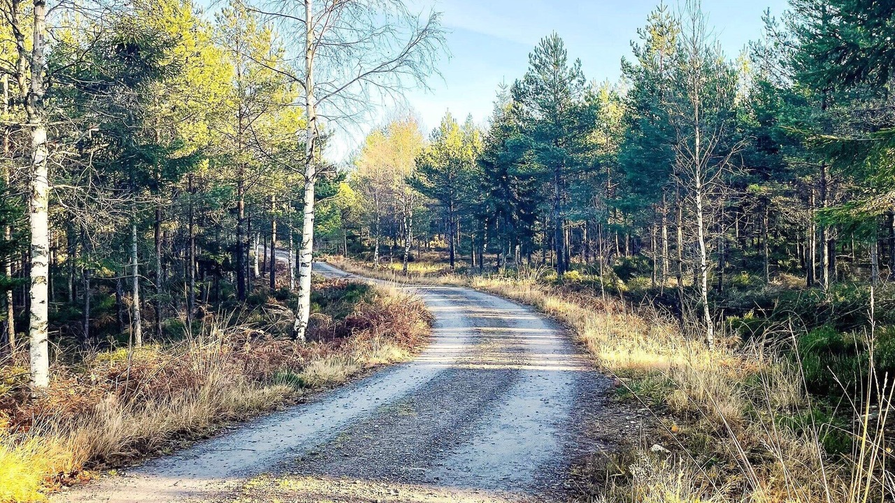 Photo of Others in Backefors